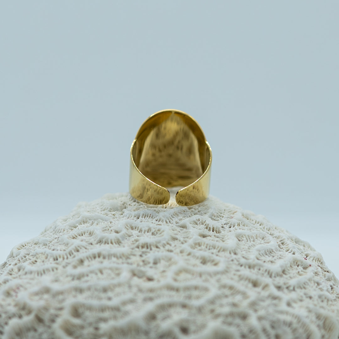 Bague en acier inoxydable 316L de couleur dorée posée sur un coquillage. La bague est ouvert pour pouvoir être réglable. La bague est vue de dos.