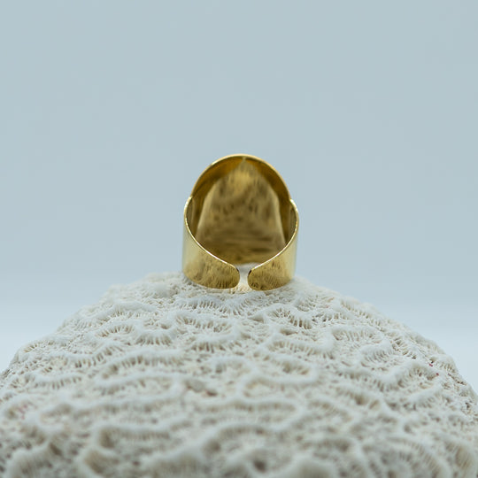Bague en acier inoxydable 316L de couleur dorée posée sur un coquillage. La bague est ouvert pour pouvoir être réglable. La bague est vue de dos.