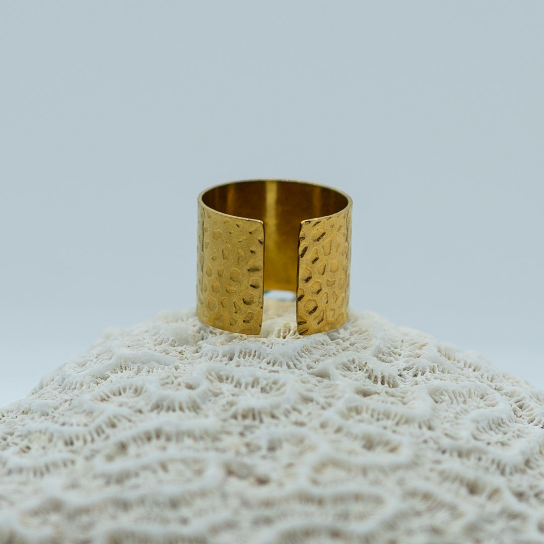 Bague en acier inoxydable chirurgical prise de dos, posée sur un coquillage. La bague n&