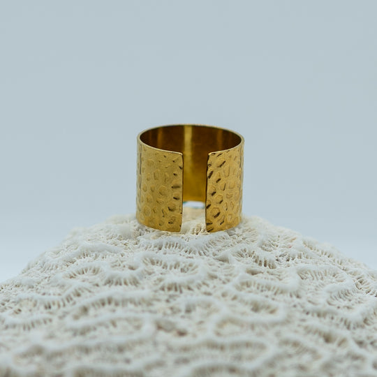 Bague en acier inoxydable chirurgical prise de dos, posée sur un coquillage. La bague n&