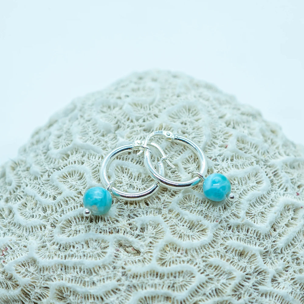 Paire de boucles d'oreilles en argent 925, en forme de créoles, posées sur un coquillage. Chaque boucle d'oreille à une perle de larimar pendante de République Dominicaine.