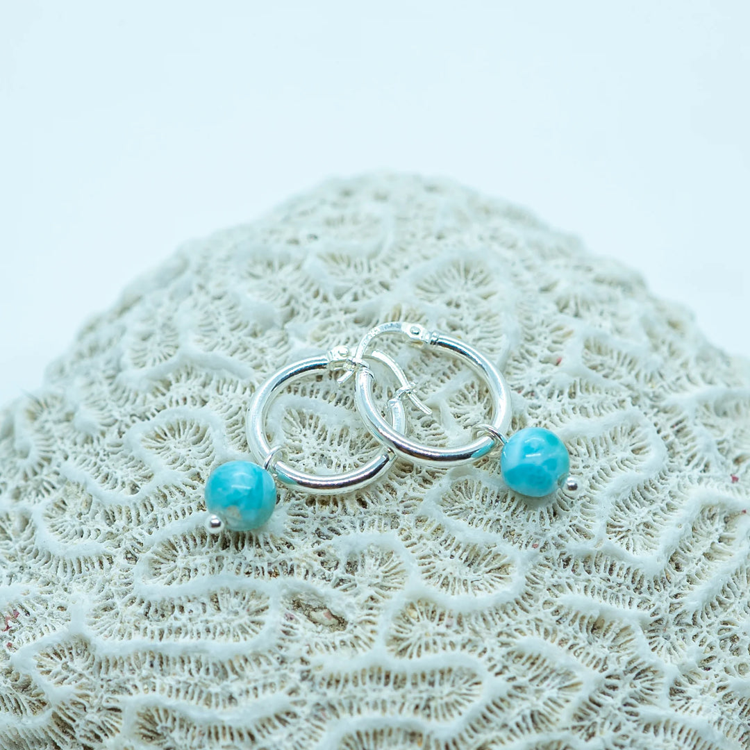 Paire de boucles d&