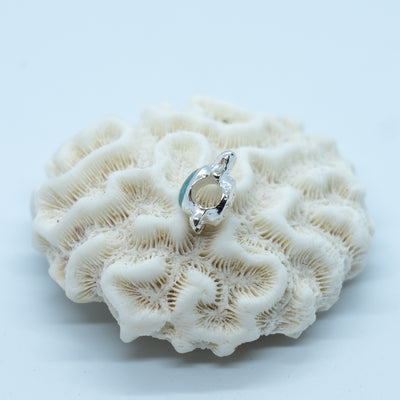 Charme tortue pour bracelet de type Pandora avec une véritable pierre de Larimar de République Dominicaine.