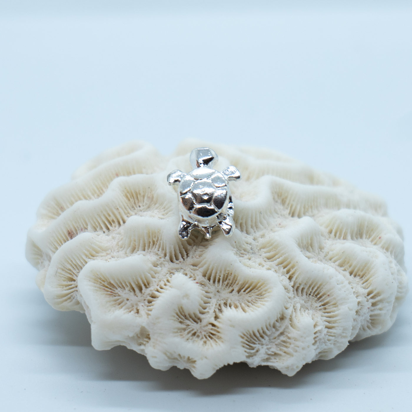 Bijou charme pour bracelet pandora en argent 925 posé sur un coquillage et vue sur sa face dos. Bijou avec une pierre de Larimar.