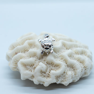 Bijou charme pour bracelet pandora en argent 925 posé sur un coquillage et vue sur sa face dos. Bijou avec une pierre de Larimar.