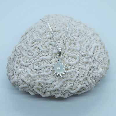 Photo d'une chaîne et de son pendentif tous deux fait en argent 925, posé sur un coquillage blanc sur fond gris clair.