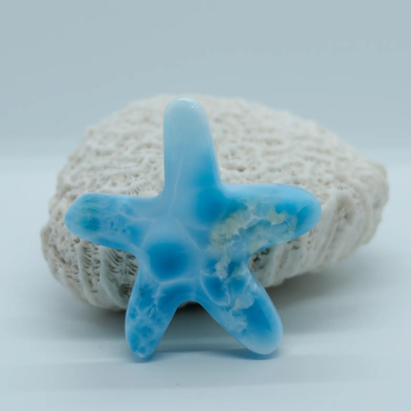 Magnifique étoile en Larimar d'un bleu intense posé devant un morceau de corail.