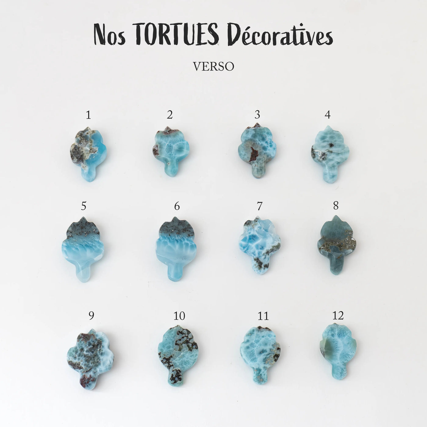 Douze tortues en Larimar de République Dominicaine sont exposés face verso sur fond blanc. Chaque tortue en Larimar est différente, certaines ont des inclusions de roche avec plusieurs nuances de bleu.