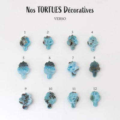 Douze tortues en Larimar de République Dominicaine sont exposés face verso sur fond blanc. Chaque tortue en Larimar est différente, certaines ont des inclusions de roche avec plusieurs nuances de bleu.
