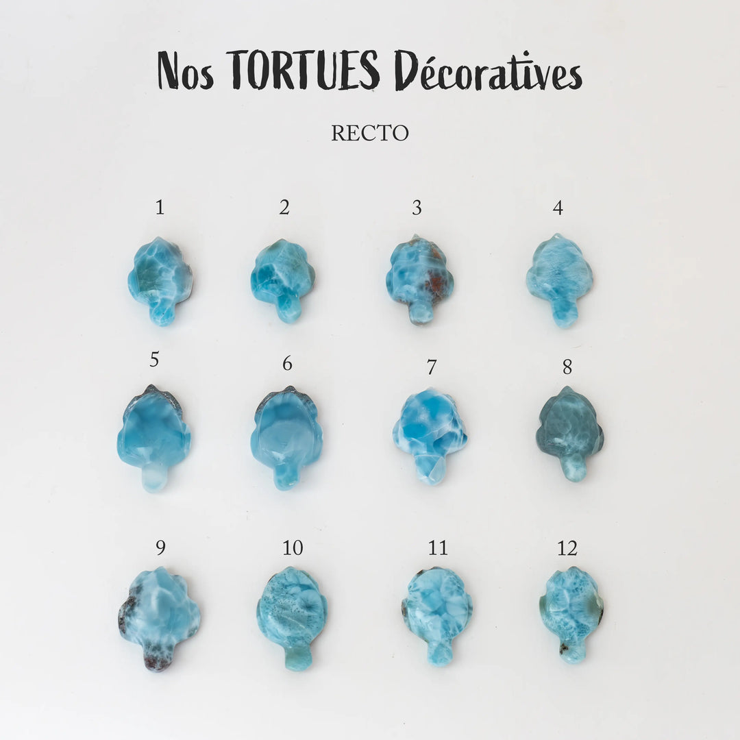 Des tortues en Larimar sont visibles sur leur face recto sur fond blanc. Ces tortues sont au nombre de douze et sont toutes différentes. Pierre naturelle de République Dominicaine.