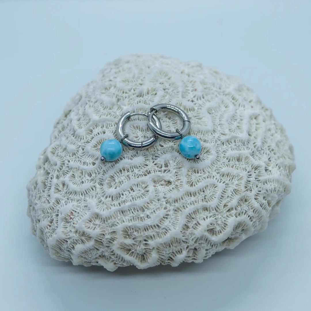 Coquillage de type corail sur lequel est déposé une paire de boucles d&
