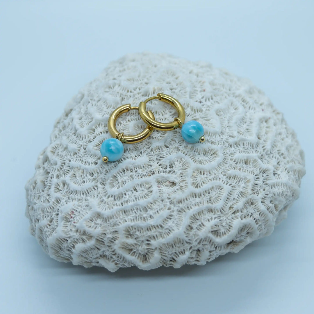 Paire de boucles d&