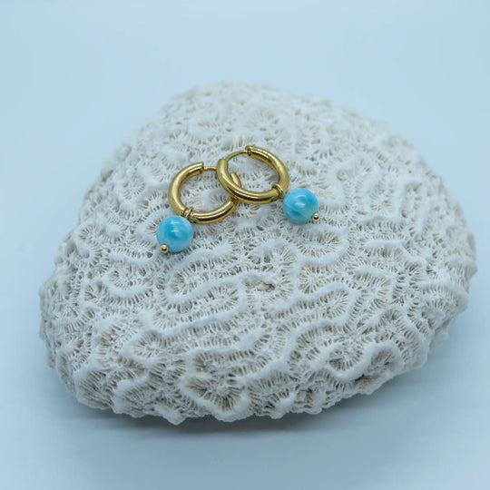 Paire de boucles d&