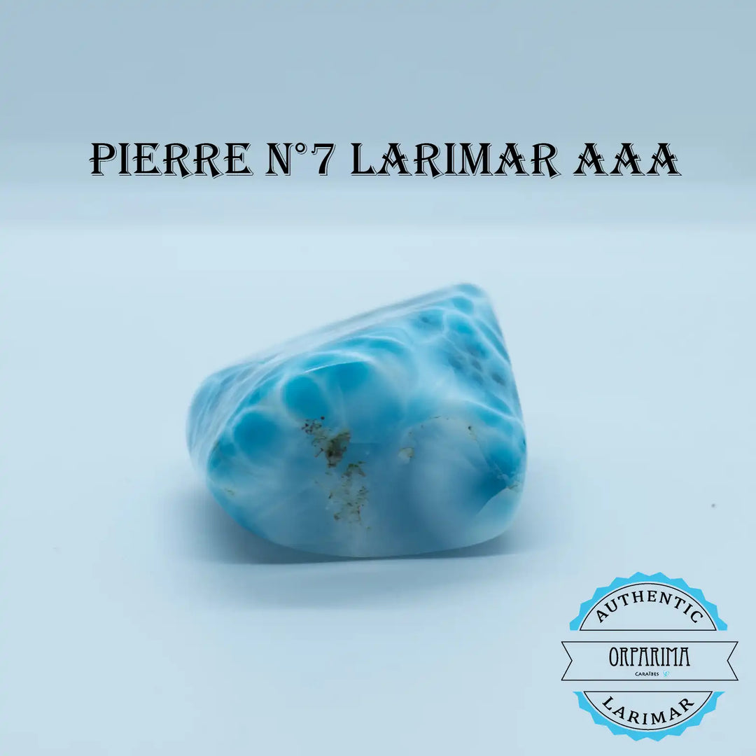 vue de dessous d&