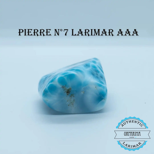 vue de dessous d&